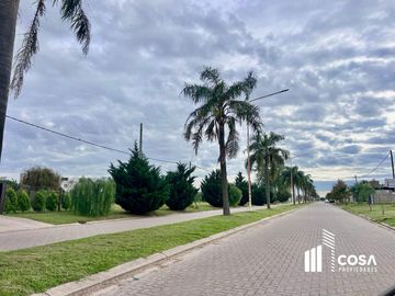 place photo 27