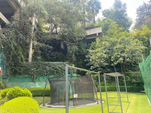 place photo 41