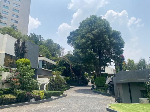 place photo 43