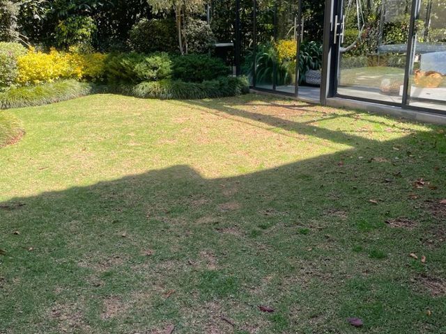 place photo 33