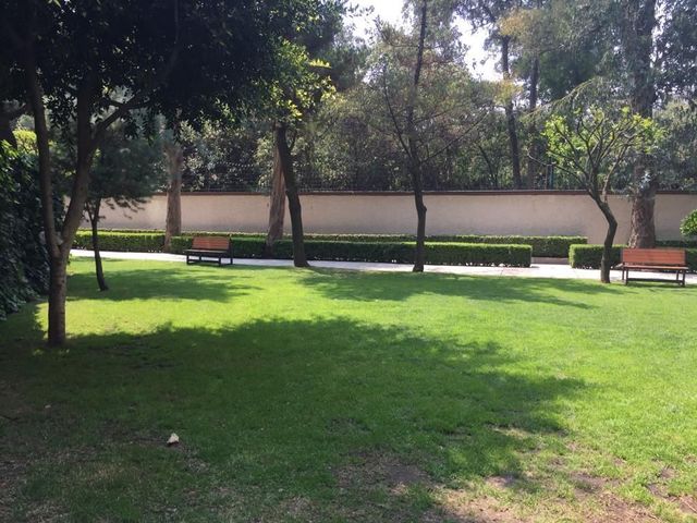 place photo 26