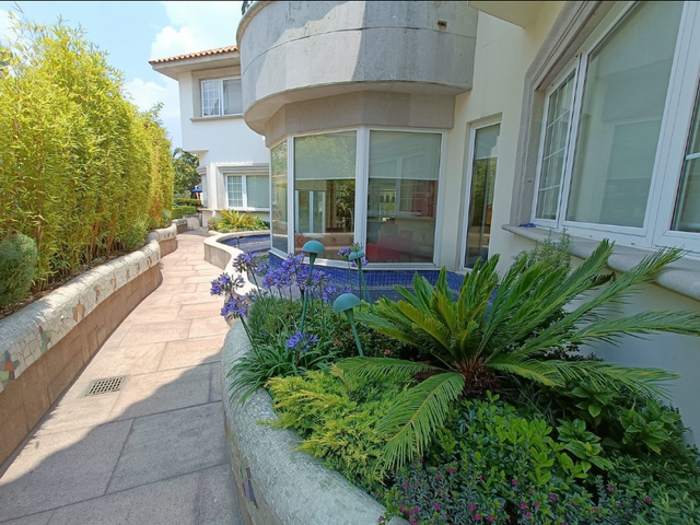 place photo 42