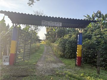 place photo 45