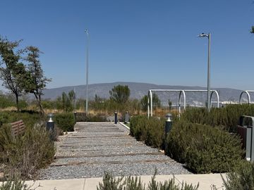 place photo 42