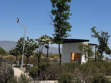 place photo 38