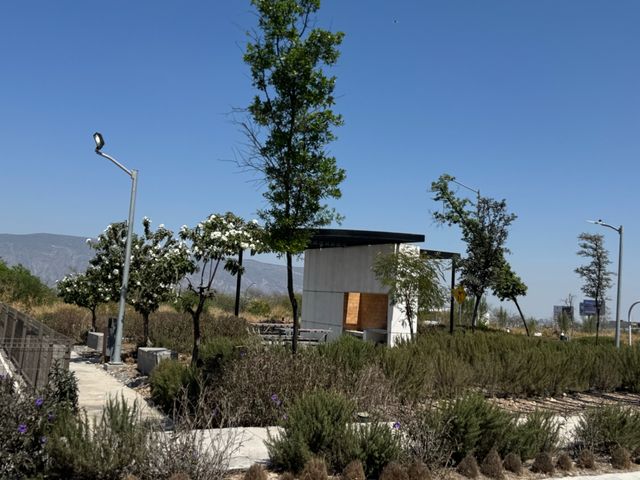 place photo 34