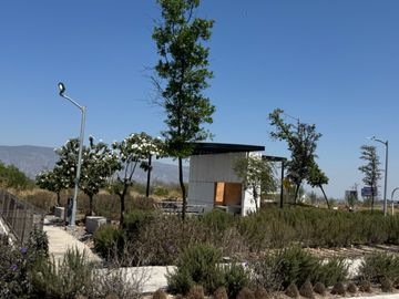 place photo 34