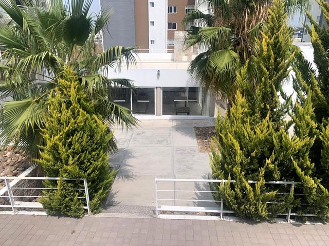 place photo 29