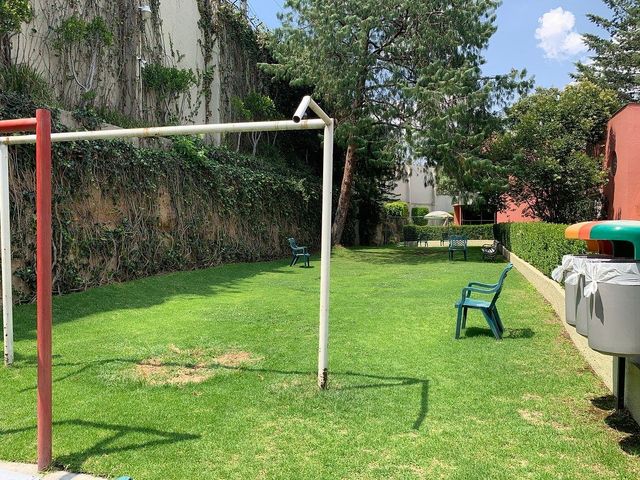place photo 24