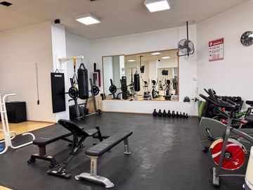 place photo 41