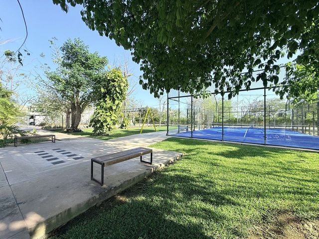 place photo 36