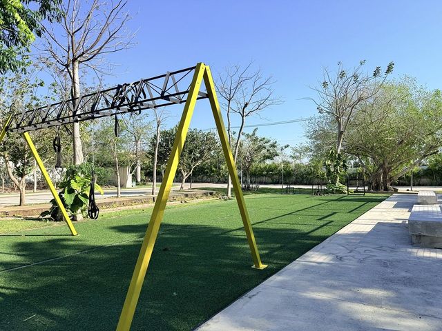 place photo 44