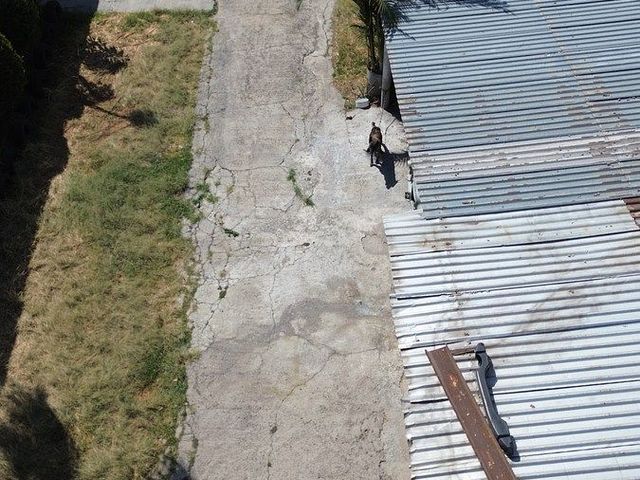 place photo 28