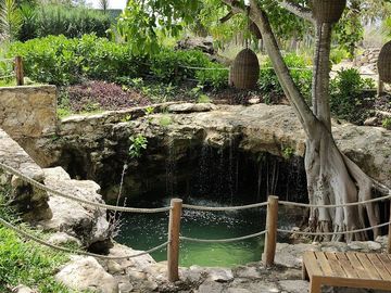 place photo 19
