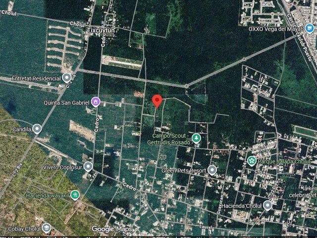 place photo 3