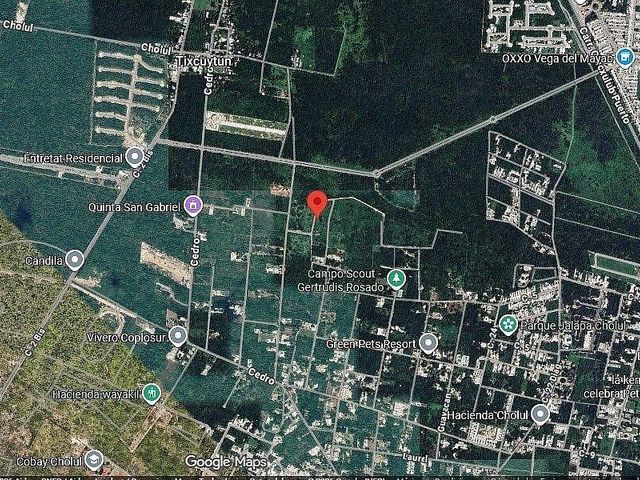 place photo 2