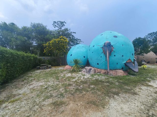 place photo 28