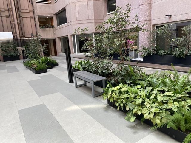 place photo 15
