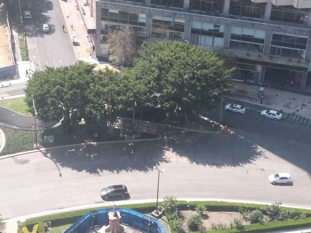 place photo 23