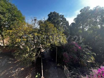 place photo 40