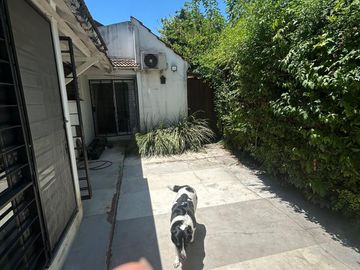 place photo 19