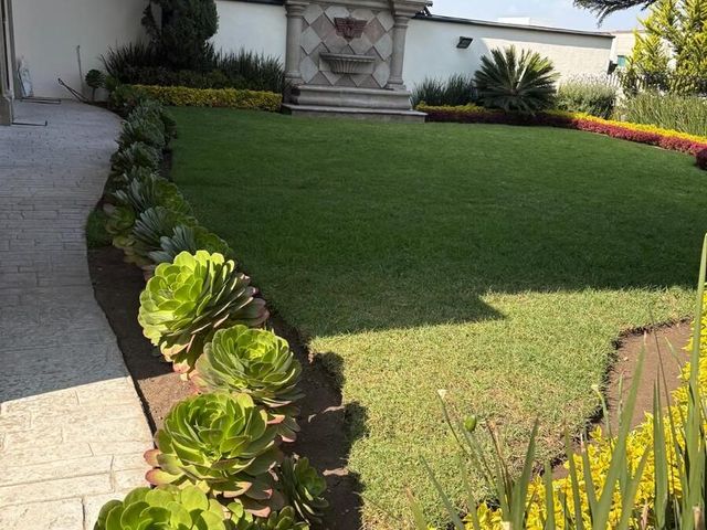 place photo 39