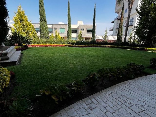 place photo 50