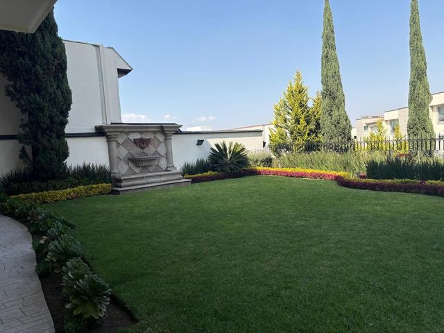 place photo 37
