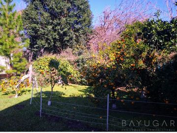 place photo 17