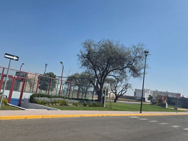 place photo 19