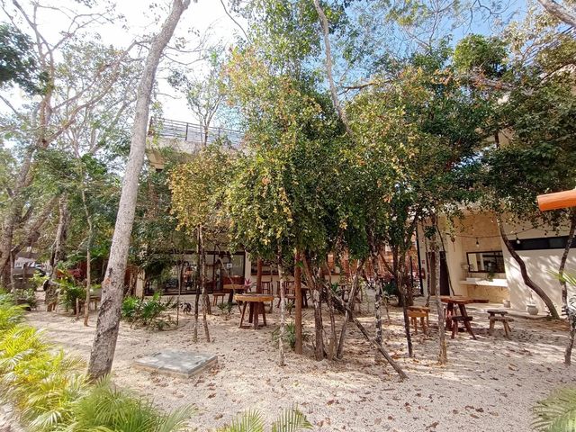 place photo 25