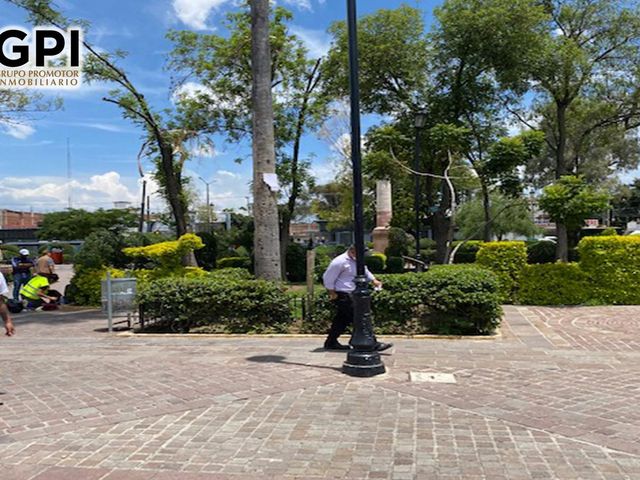 place photo 18