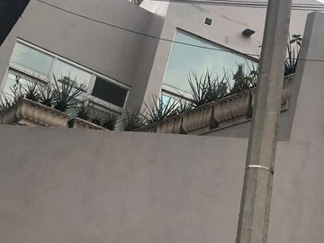 place photo 39