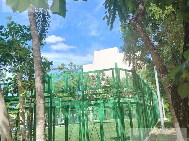 place photo 19