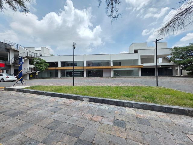 place photo 30