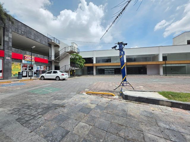 place photo 29