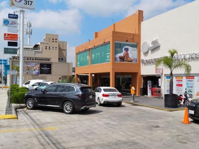 place photo 9