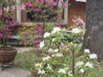 place photo 43
