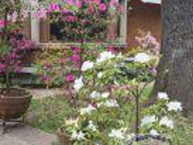 place photo 43