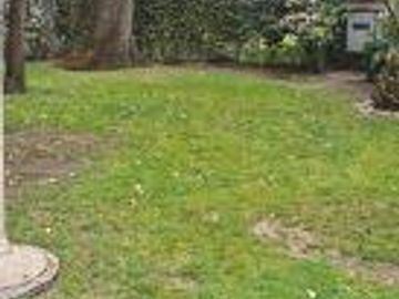 place photo 41