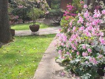 place photo 44