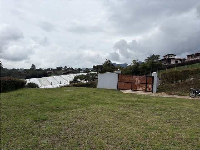 place photo 49
