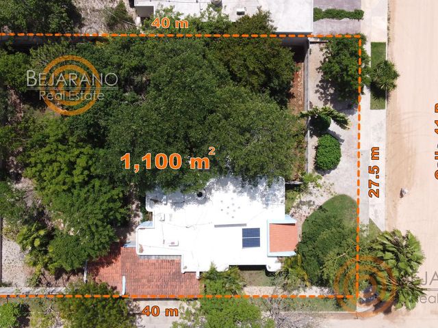 place photo 34