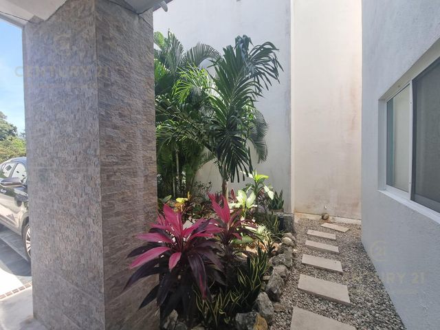 place photo 32