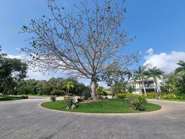 place photo 38