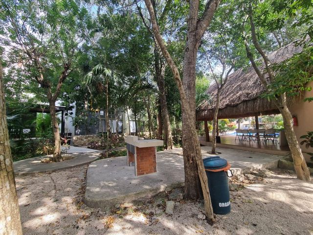place photo 35