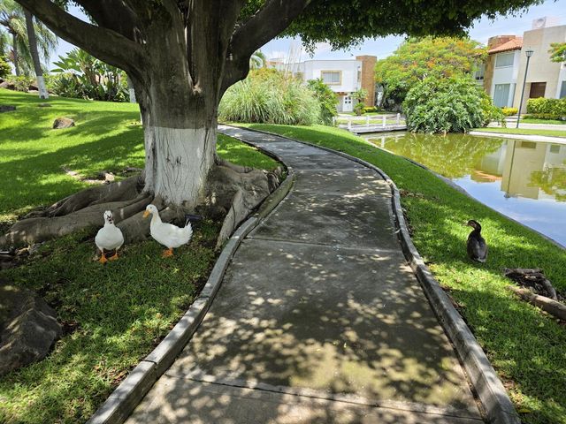 place photo 53