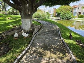 place photo 53