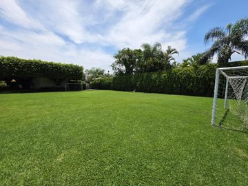 place photo 47