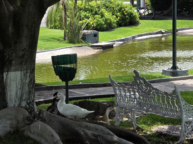 place photo 43